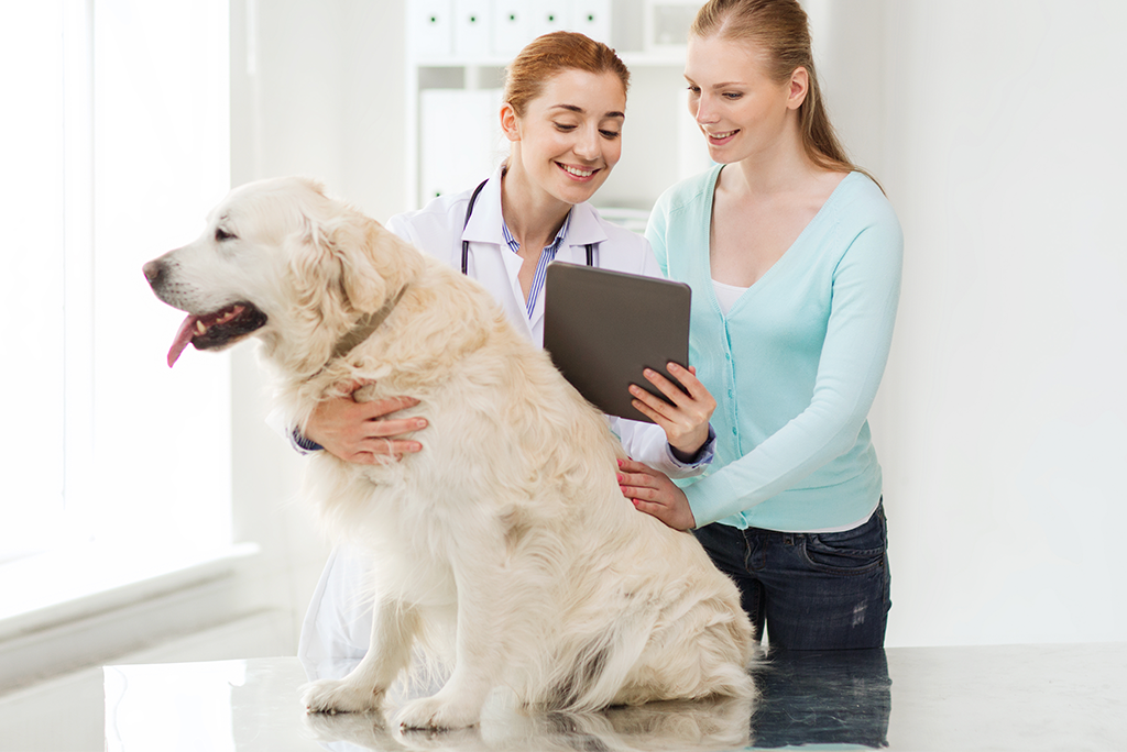 Client Communication Best Practices: Building Trust and Loyalty in Your Veterinary Practice