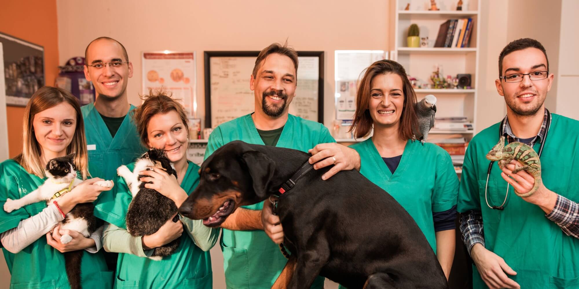 Staff Retention in Veterinary Medicine: Creating a Workplace People Don't Want to Leave